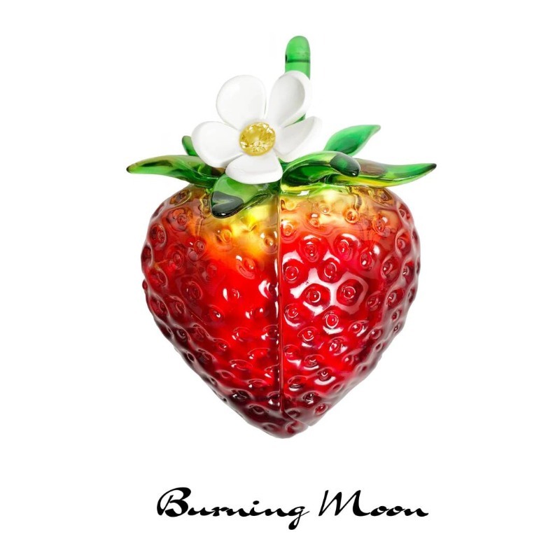 Strawberry Earphone Case for A - огляд і ціна Strawberry Huller