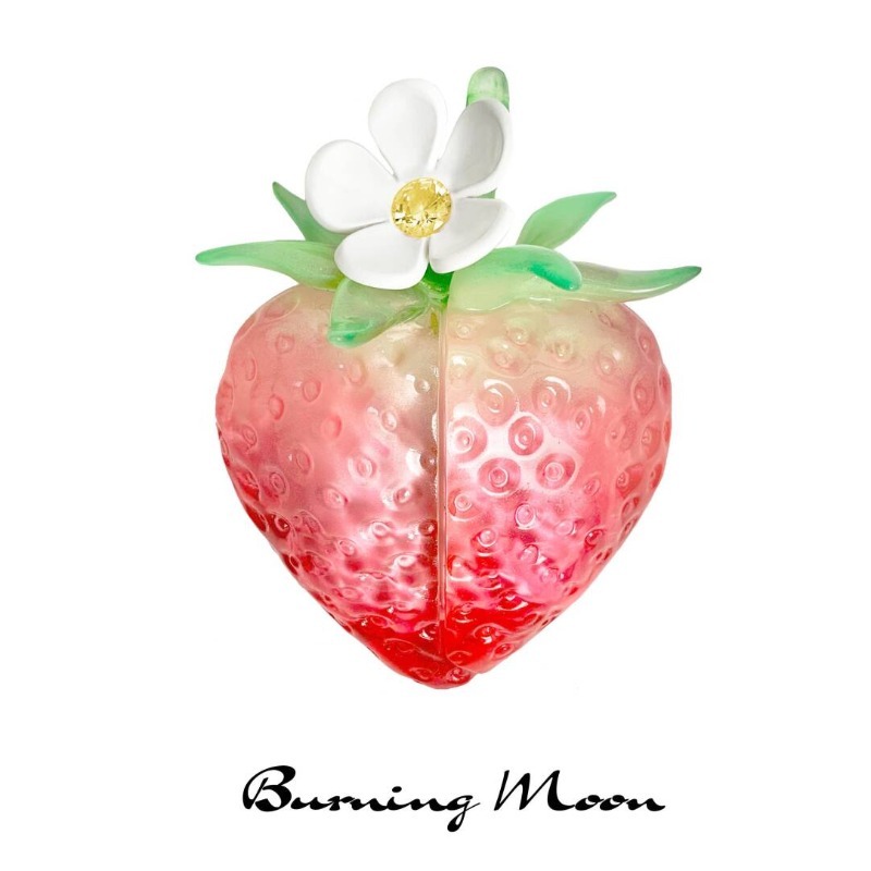 Strawberry Earphone Case for A - огляд і ціна Strawberry Huller